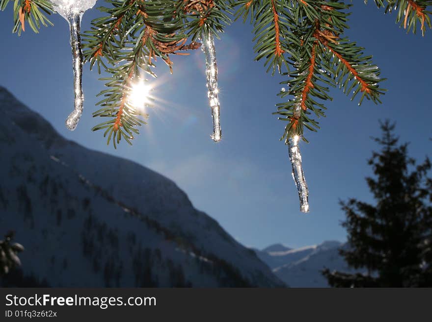 Winter Fairy Tale View