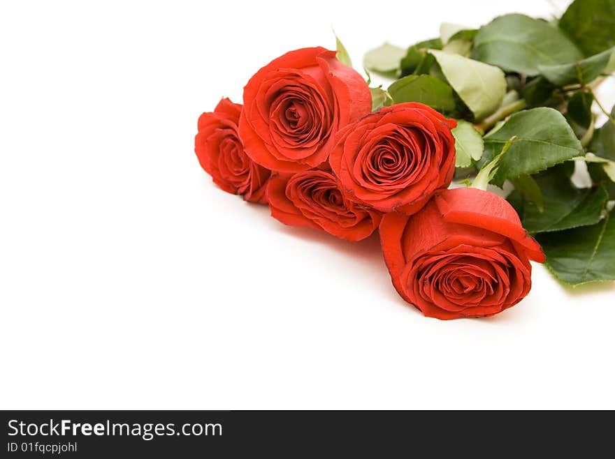 Bouquet of red roses isolated. Bouquet of red roses isolated