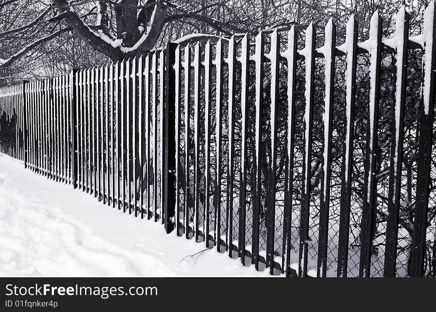 Snow covered metal railings with diminishing perspective