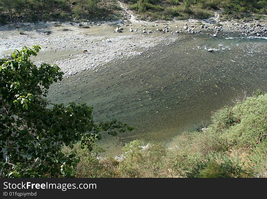 River View