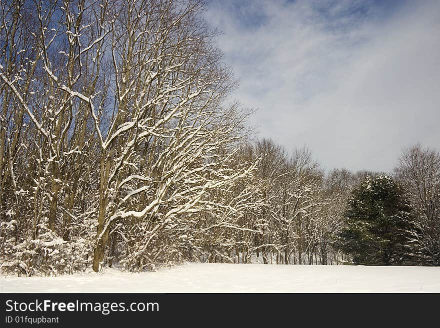 The sky begins to clear after a snow storm while sunlight breaks through illuminating the freshly coated trees and field at Callahan State Park in Framingham, Massachusetts. The sky begins to clear after a snow storm while sunlight breaks through illuminating the freshly coated trees and field at Callahan State Park in Framingham, Massachusetts