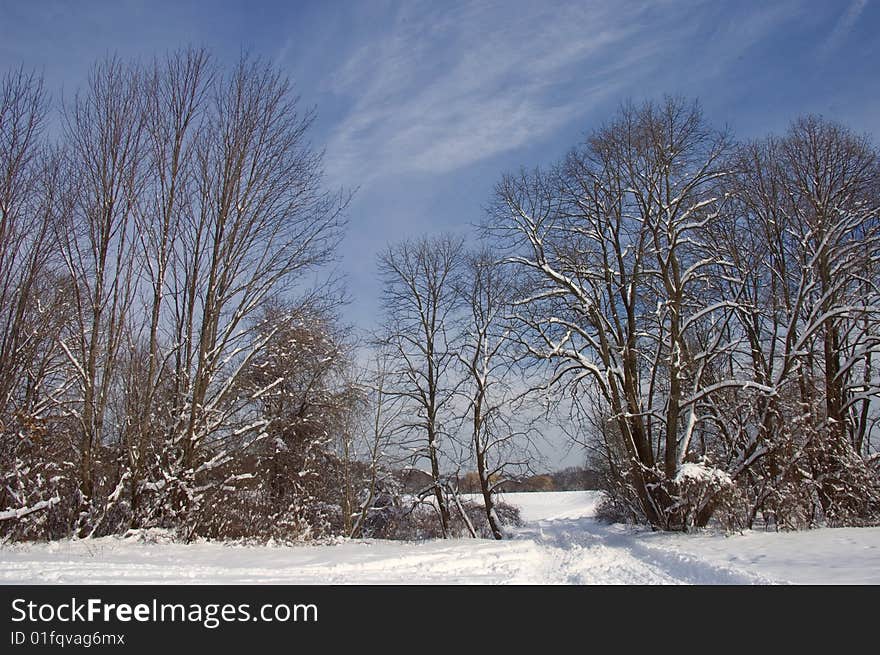 The sky clears after a snow storm illuminating the freshly coated trees and field at Callahan State Park in Framingham, Massachusetts. The sky clears after a snow storm illuminating the freshly coated trees and field at Callahan State Park in Framingham, Massachusetts