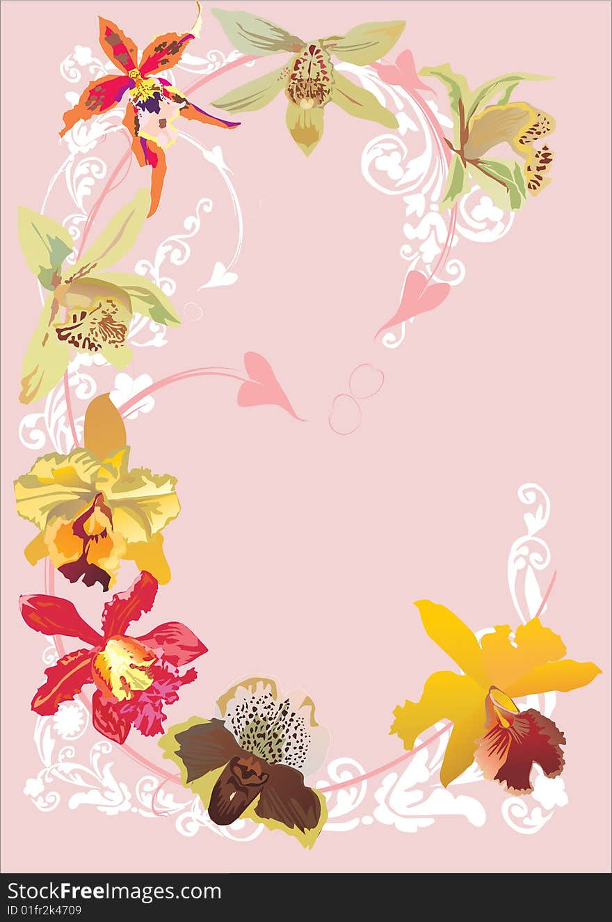 Illustration with orchid decoration isolated on pink background. Illustration with orchid decoration isolated on pink background