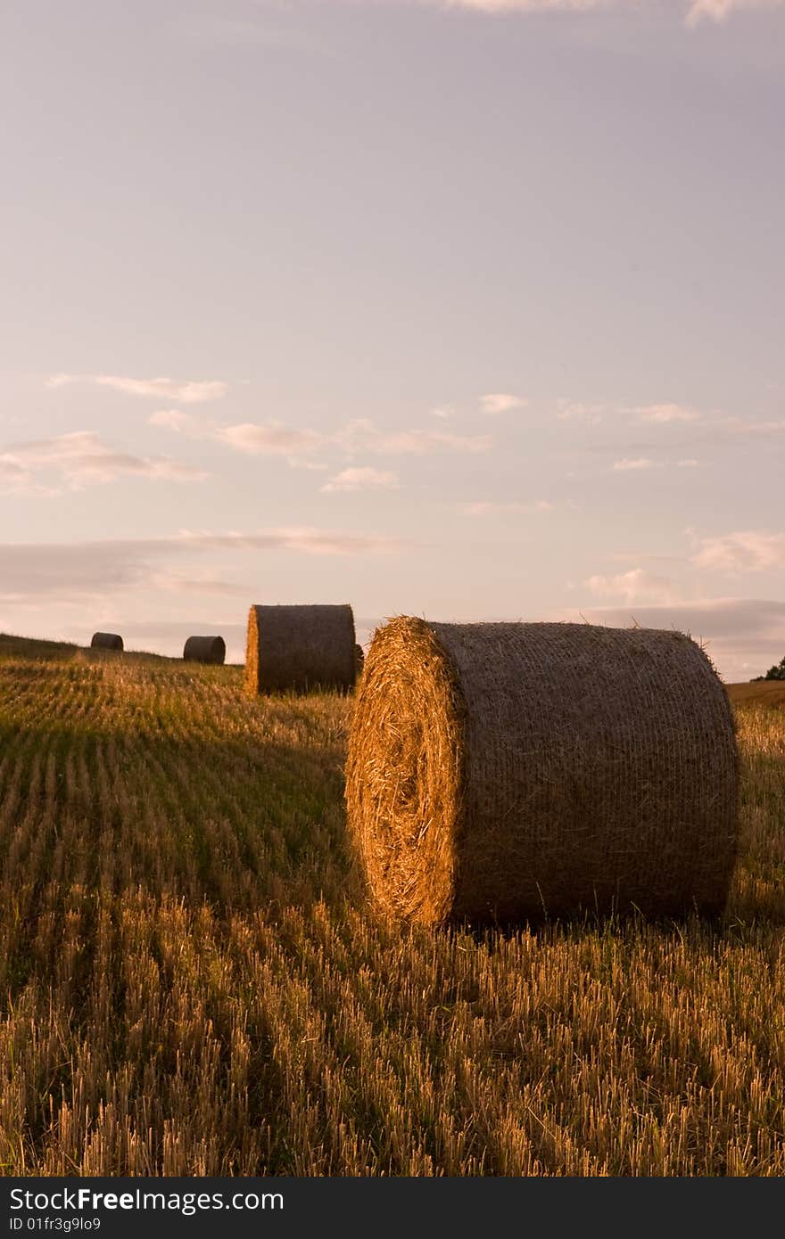 Autumn field and straw piles