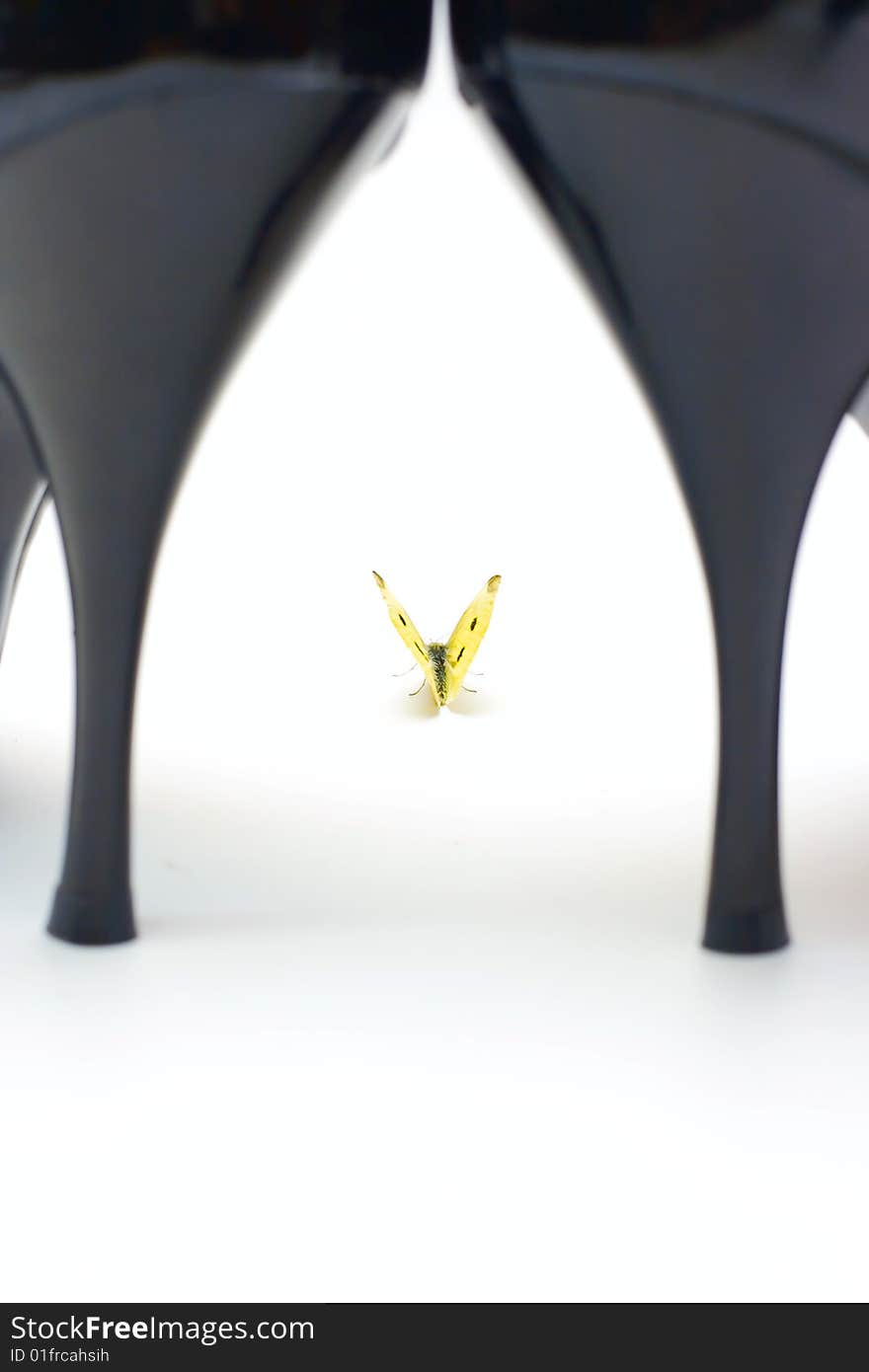 Butterfly And Woman Shoes