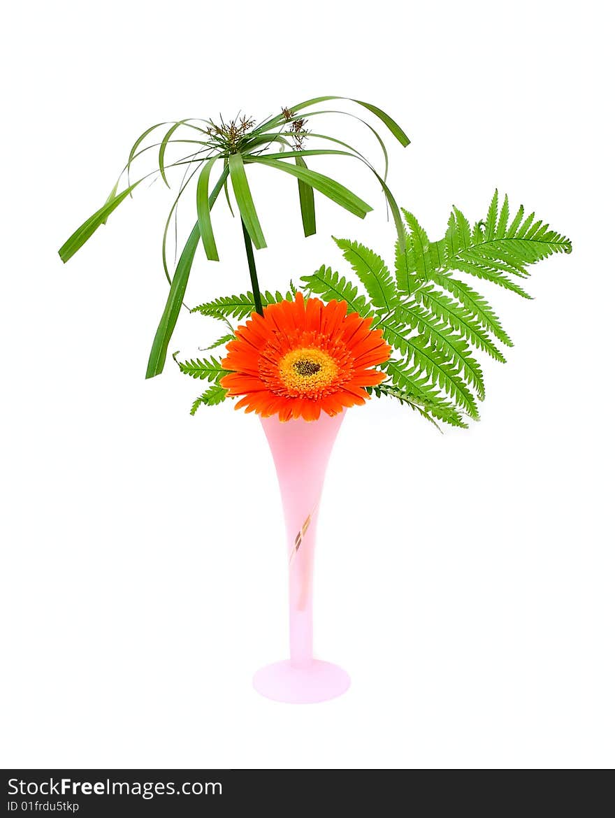 One flower and green leaf in pink vase