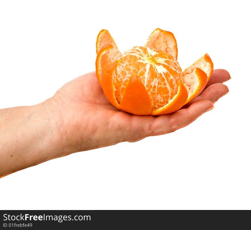 Hand holding tangerine