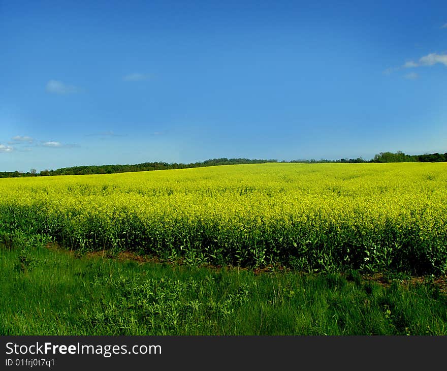 Beautiful blue sky landscape