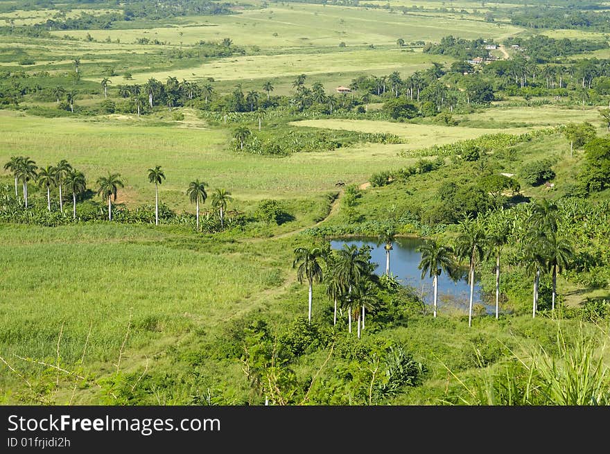 Cuban Countryside Landscape