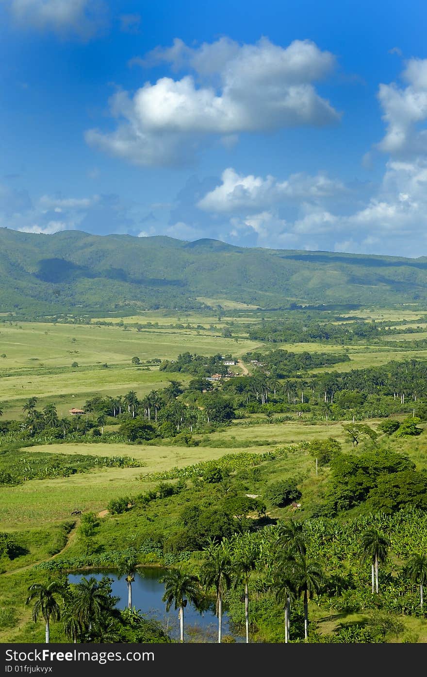 A view of rural tropical landscape with vegetation on cuban countryside. A view of rural tropical landscape with vegetation on cuban countryside