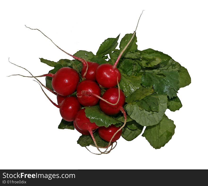 A small bunch of red radishes. A small bunch of red radishes