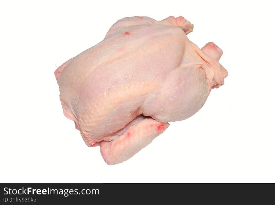 A chicken on white background