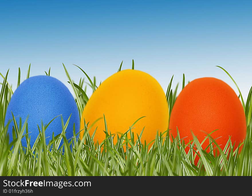 Easter colorful eggs in spring grass. Easter colorful eggs in spring grass