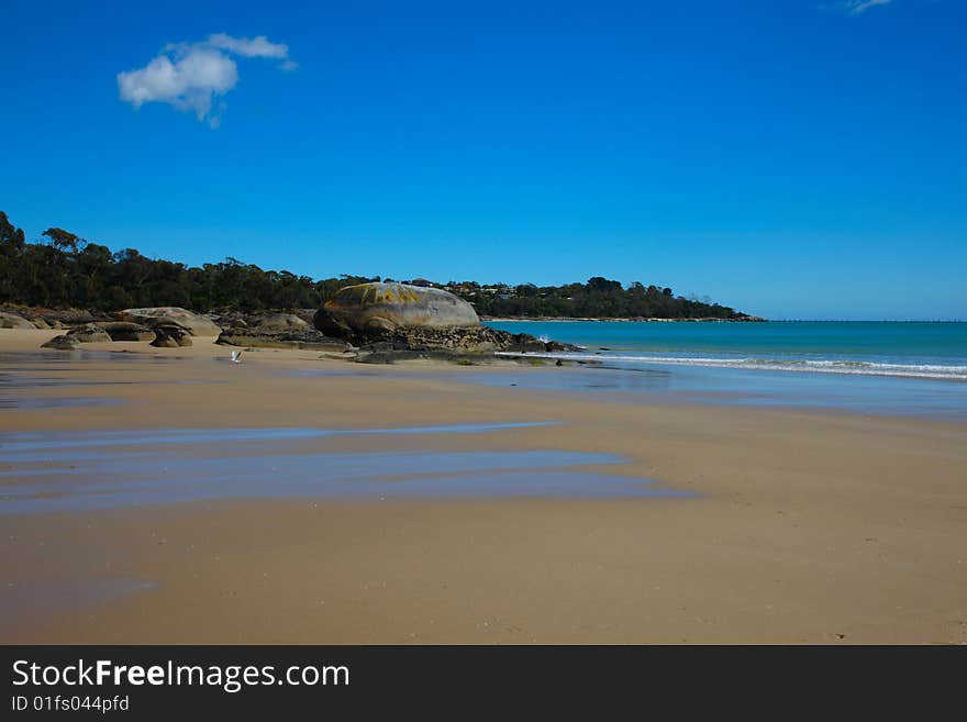 Low tide