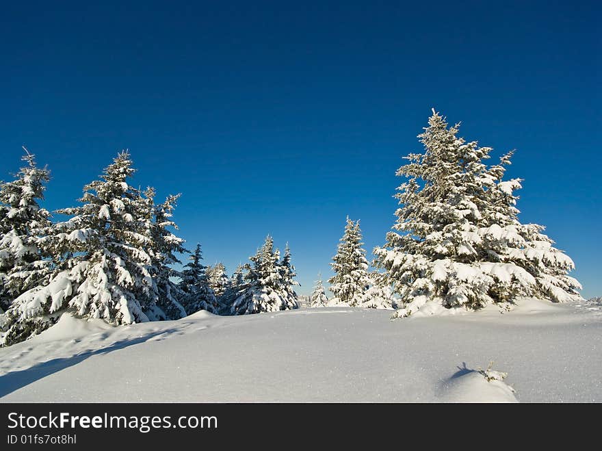 Winter In French Alps