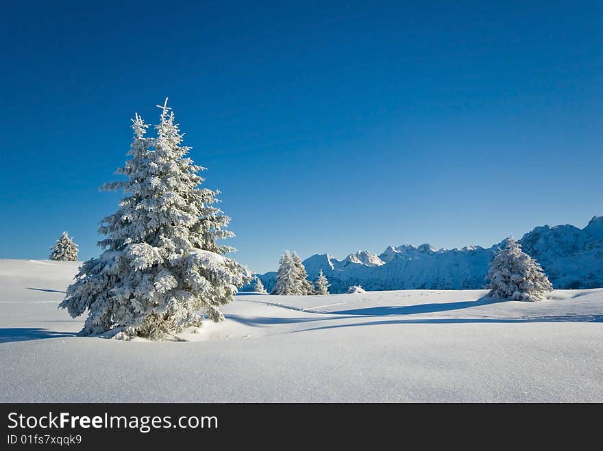 landscape of the winter in french alps