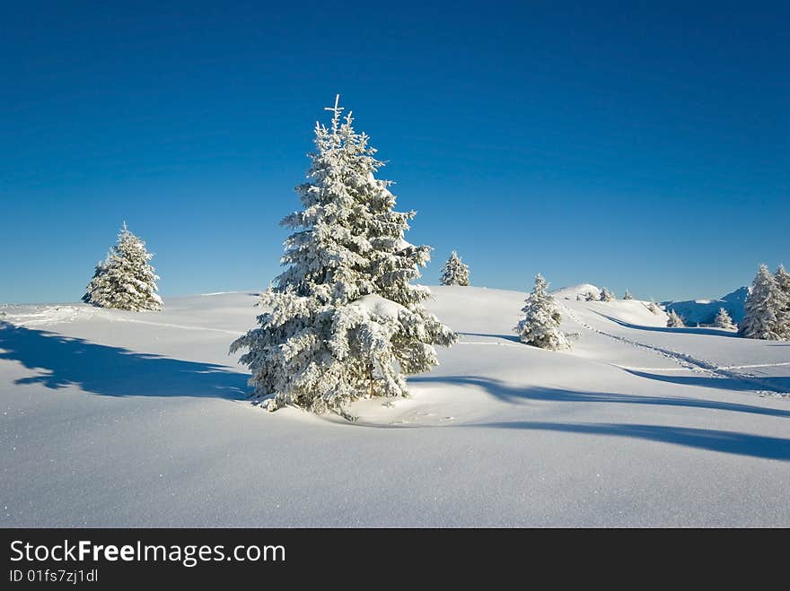 landscape of the winter in french alps