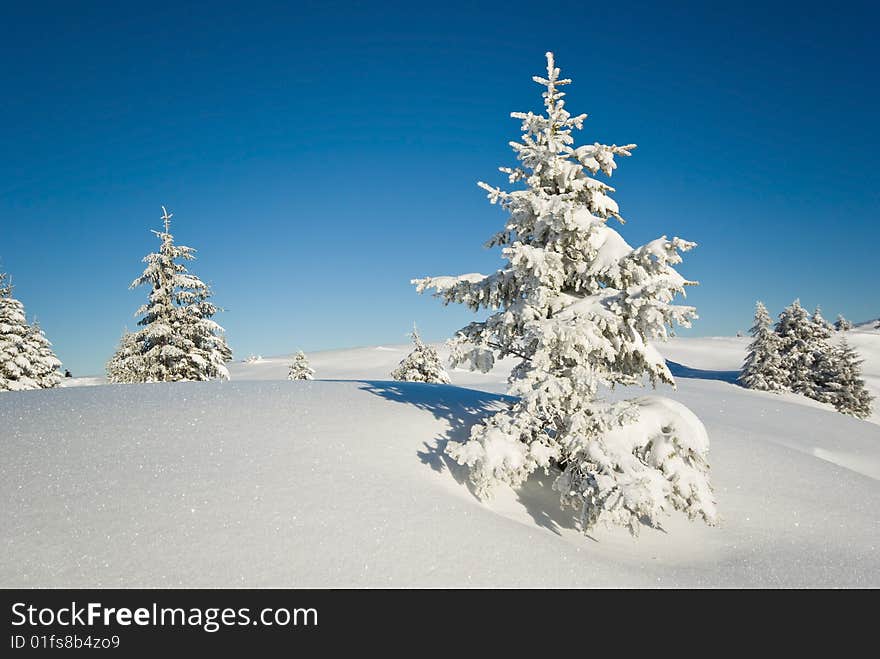 landscape of the winter in french alps