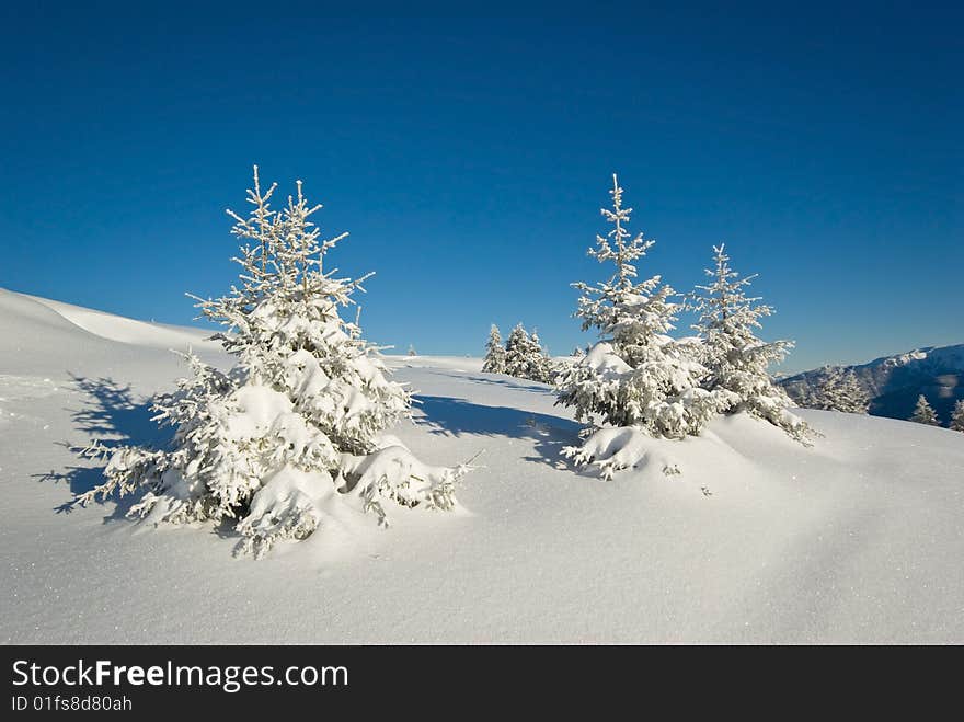 landscape of the winter in french alps