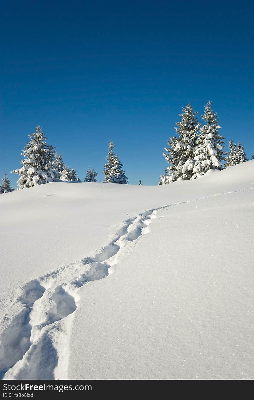 landscape of the winter in french alps