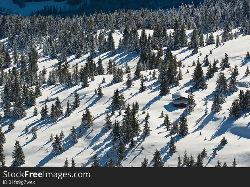 landscape of the winter in french alps