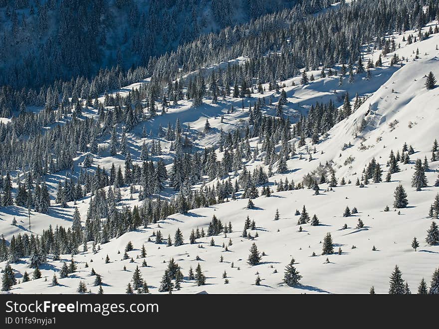 landscape of the winter in french alps