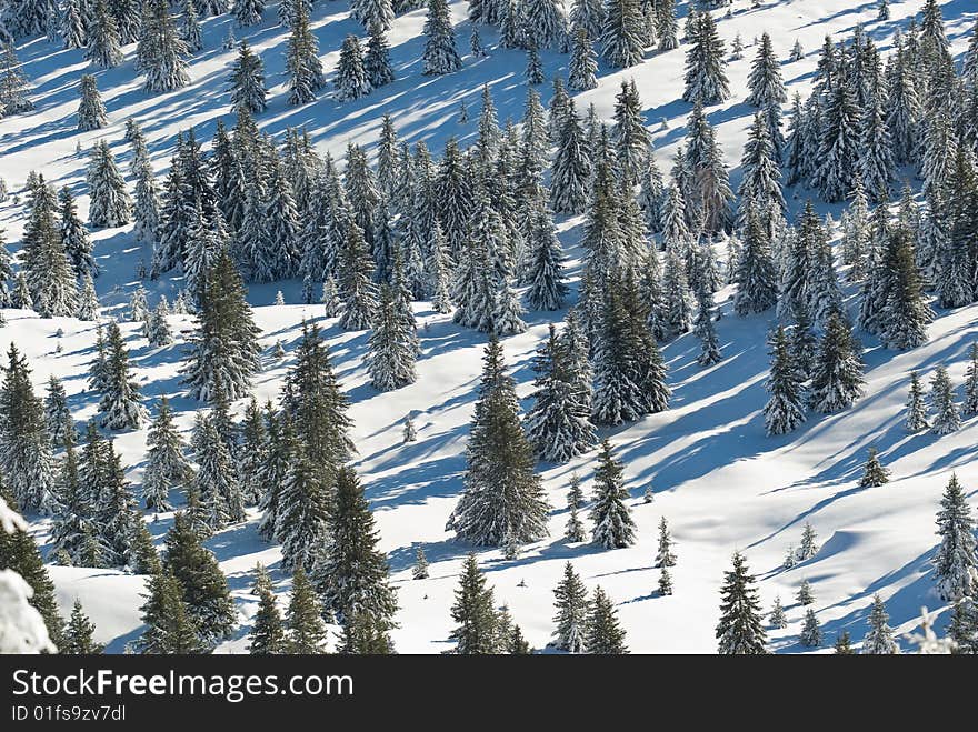 landscape of the winter in french alps