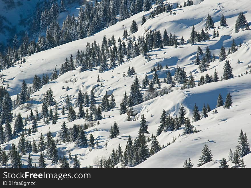 landscape of the winter in french alps