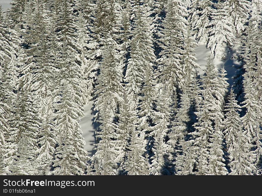 landscape of the winter in french alps