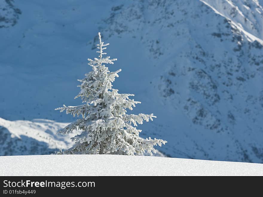 landscape of the winter in french alps