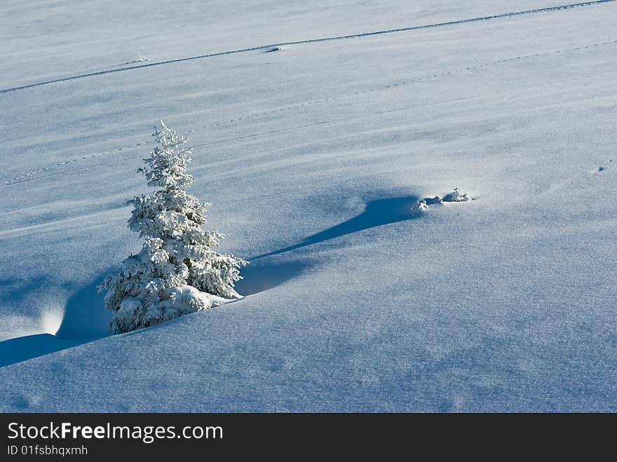 landscape of the winter in french alps