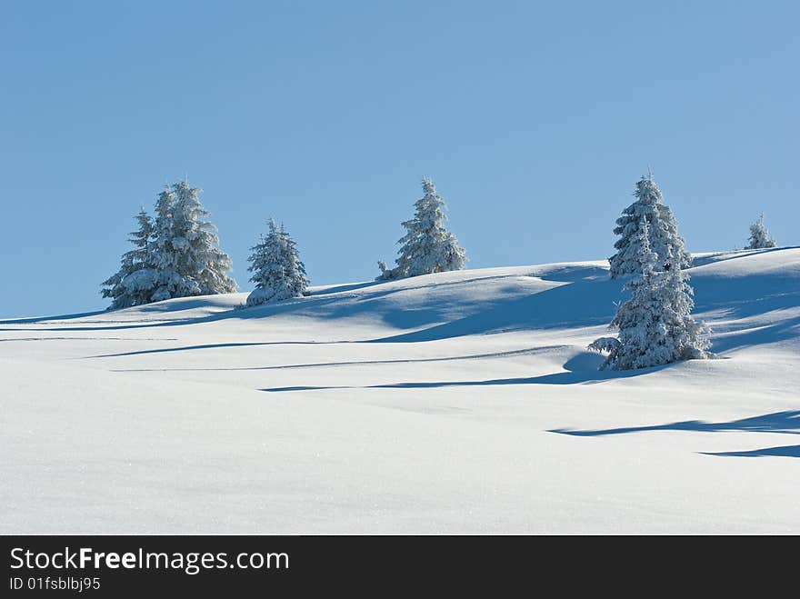 Winter In French Alps