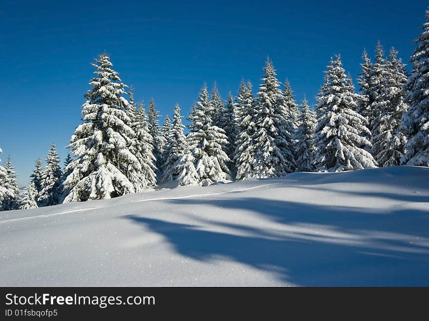 landscape of the winter in french alps