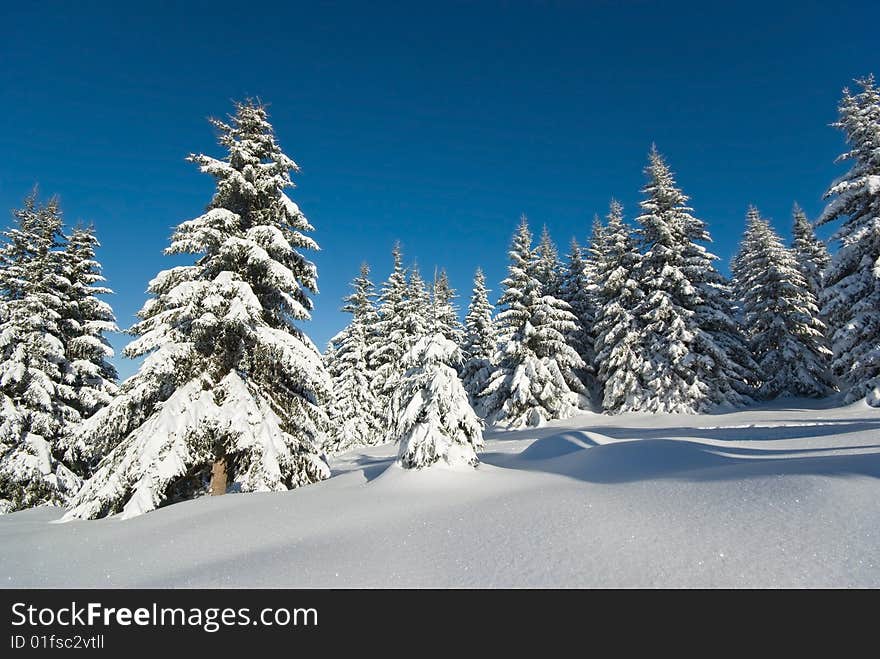 landscape of the winter in french alps