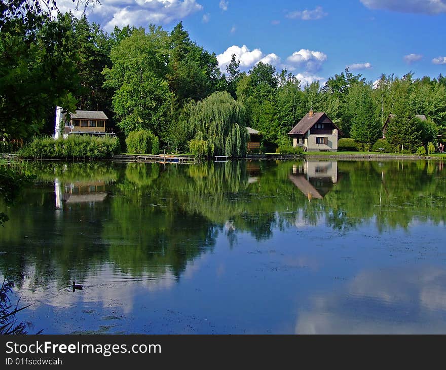 Tree, cottage and the lake. Tree, cottage and the lake