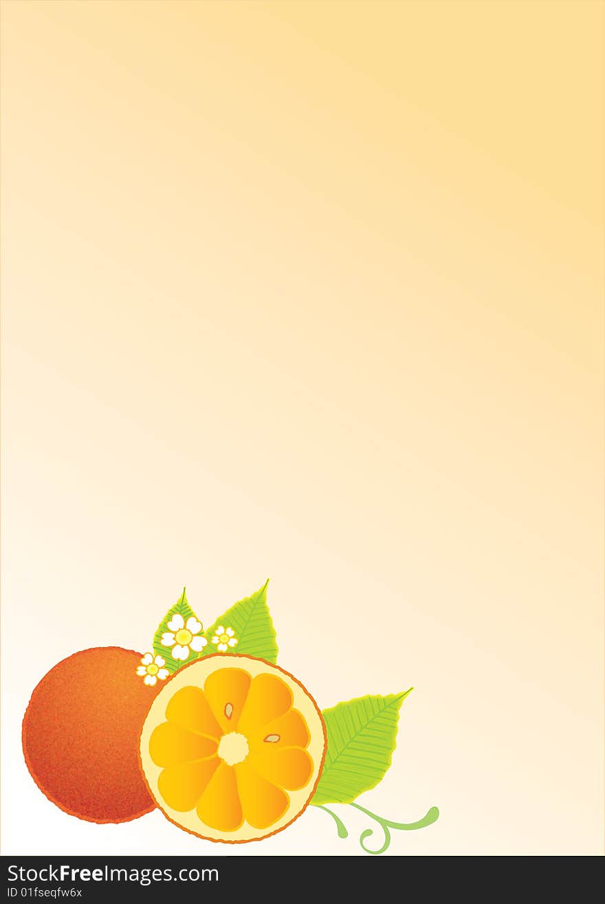 Background with orange and leaves in the bottom. Background with orange and leaves in the bottom