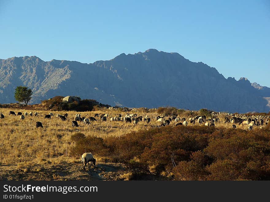 Corsica landscape