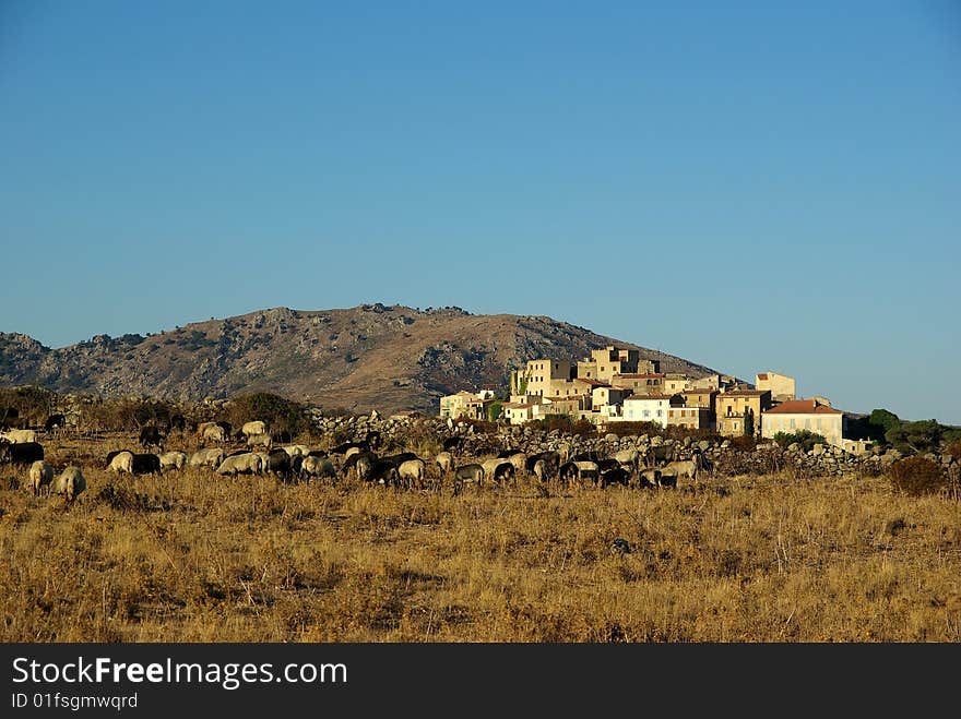 Corsica landscape