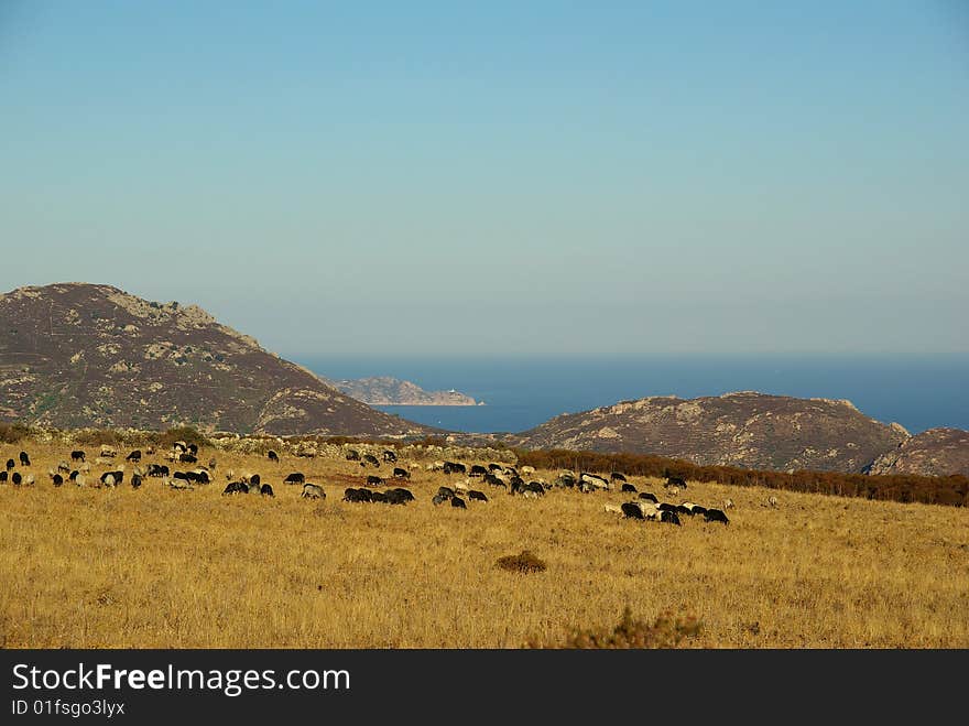 Corsica landscape