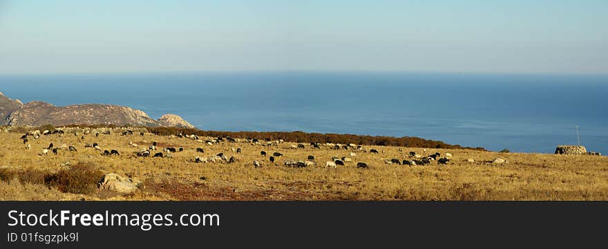 Corsica landscape