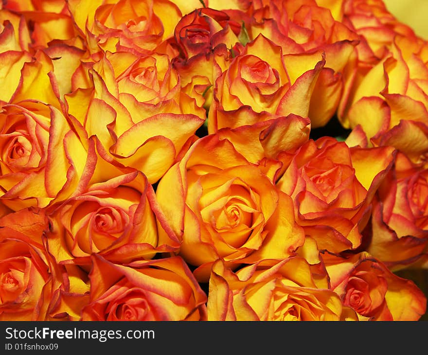 Bouquet of orange-yellow roses in detail