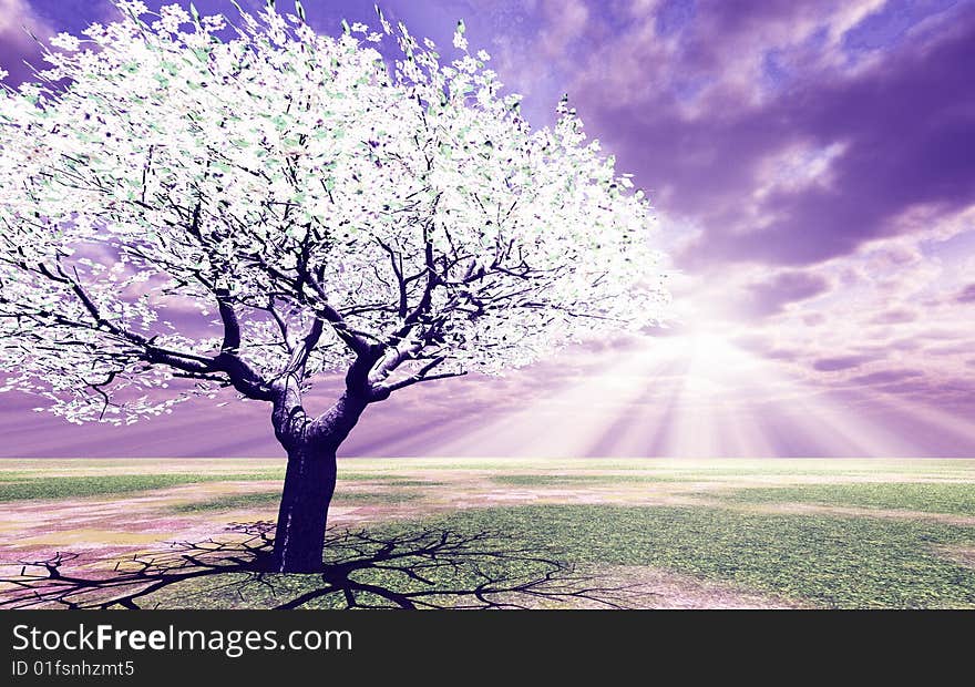 Blossoming tree in the god rays