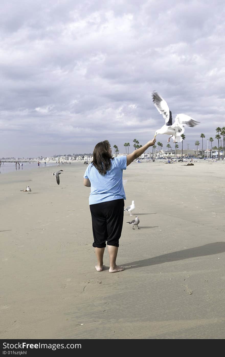 Lady holds bread up in the air and birds fly by and grab it out of her hand. Lady holds bread up in the air and birds fly by and grab it out of her hand