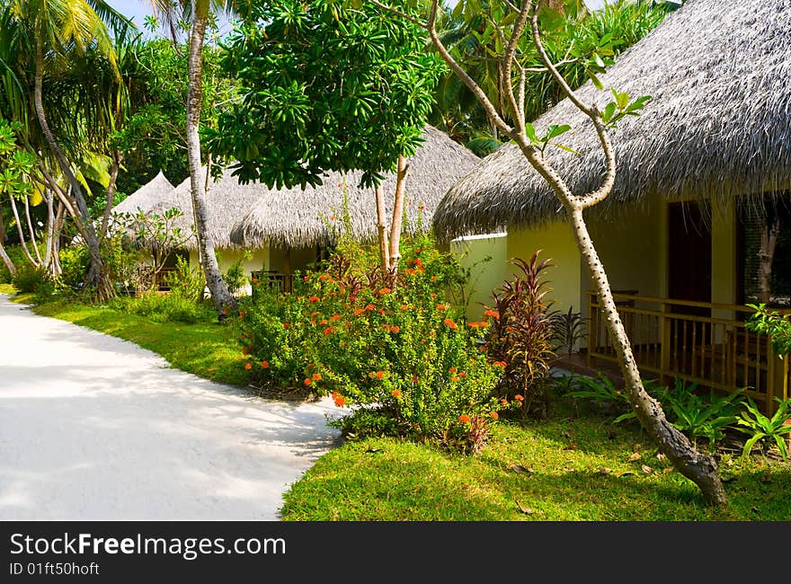 Bungalows in jungles - sand pathway, flowers and trees