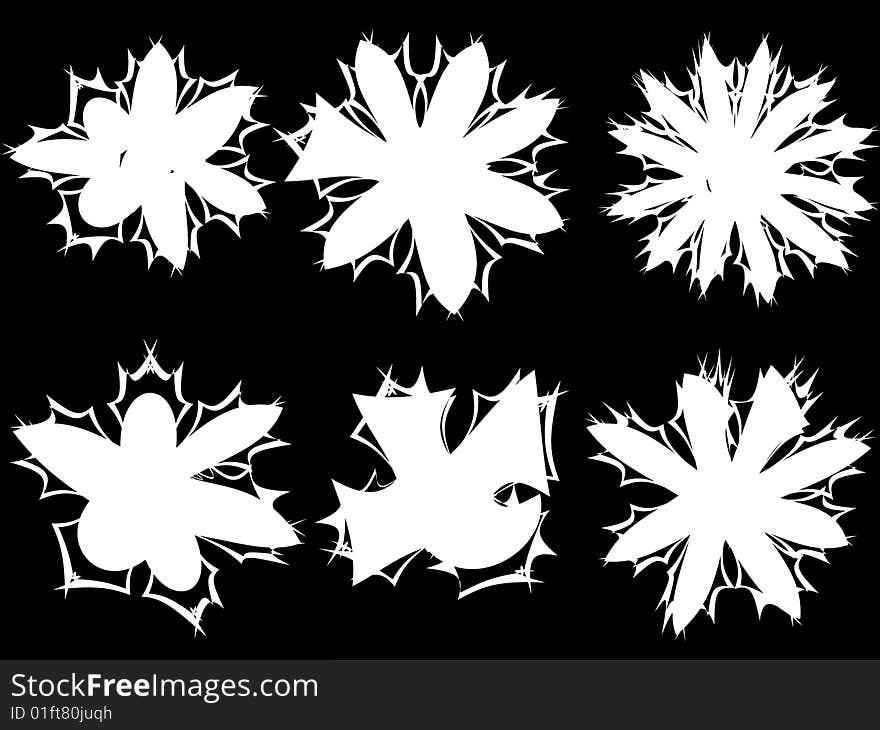 Six pieces of white abstract flowers on black background.