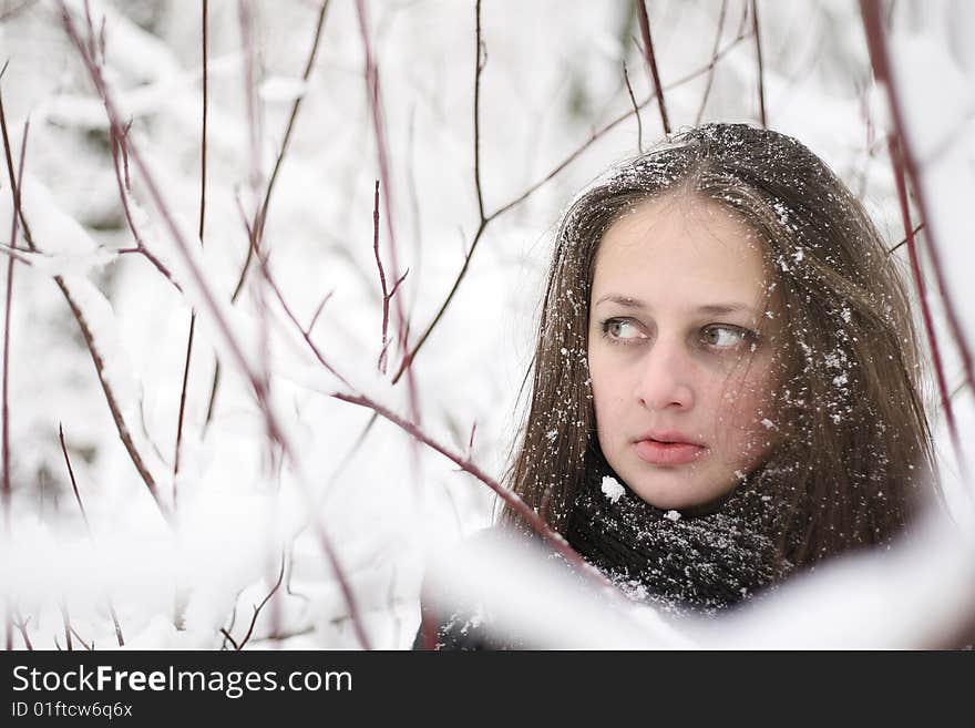 Girl in winter forest