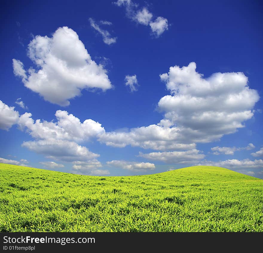 Field on a background of the blue sky