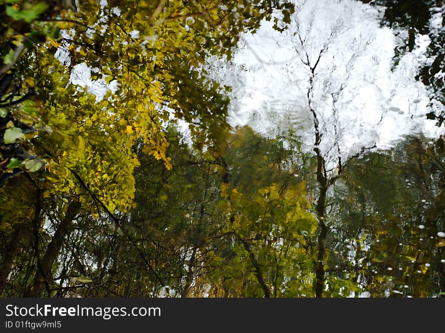 Autumn abstract background reflection in the water. Autumn abstract background reflection in the water