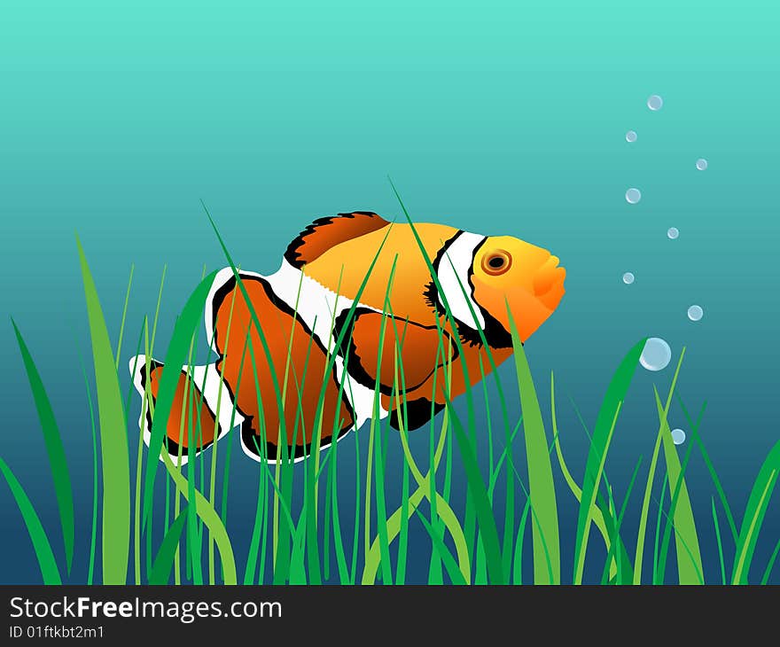 Vector illustration of sea water clown fish