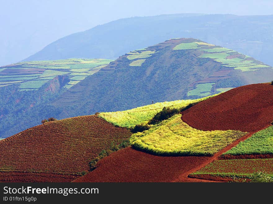 It likes a carpet in yunan